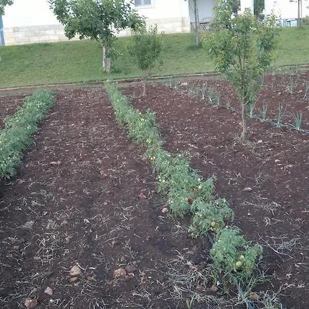 Podere40 Country * 切萨雷奥港