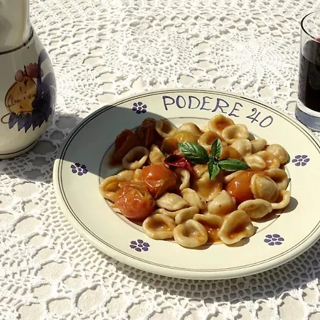Podere40 Country * 切萨雷奥港